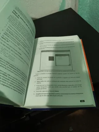 Flash 8 - La Biblia (Spanish Edition)