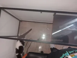 Mesa de cristal y metal negra