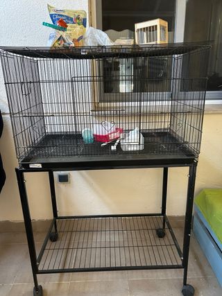 Jaula para pájaros con accesorios