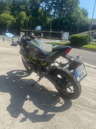 Kawasaki Z125 Naked Gris/Verde