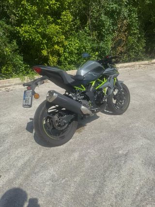 Kawasaki Z125 Naked Gris/Verde