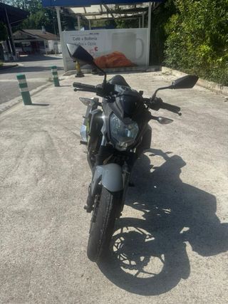 Kawasaki Z125 Naked Gris/Verde