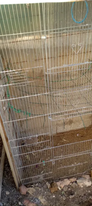 Jaula Voladera Grande