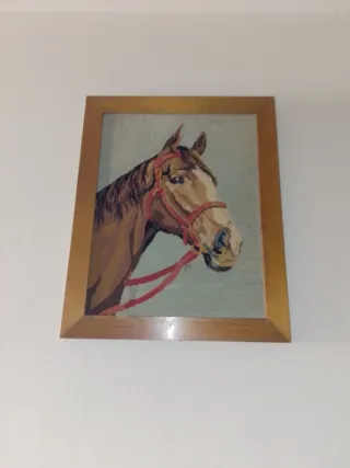 Cuadro de caballo enmarcado