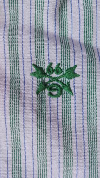 Camisa GOCCO Rayas Verdes Talla 8-10