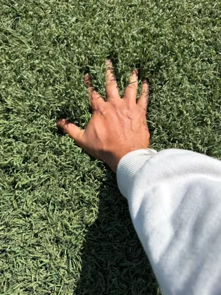 Césped artificial para decoración y exterior