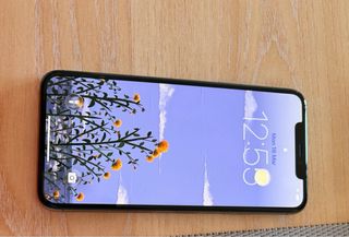 iPhone 11 Pro Max Gris Espacial