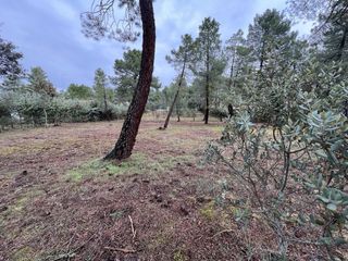 Parcela 2560 m2 en la Urbanización Pinar Jardín.