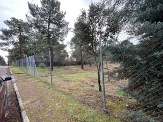 Parcela 2560 m2 en la Urbanización Pinar Jardín.