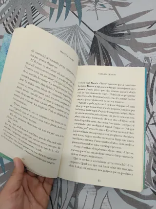 Cada gra de raïm (Narrativa juvenil) (Catalan E...