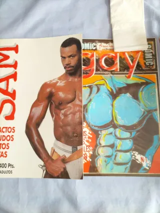 Lote 17 revistas Gays MENSUAL Guia gay de España