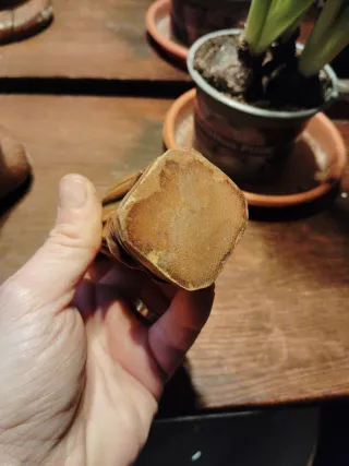 Talla Virgen madera antigua