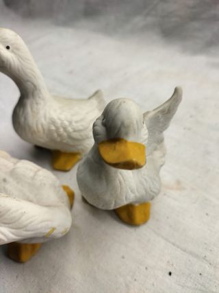 Lote 3 Patos Cerâmica
