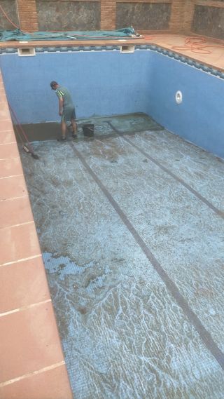 Jardinería, piscinas y trabajos en madera