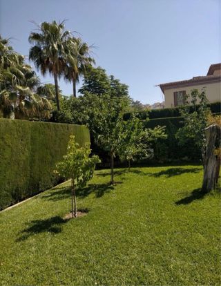 Jardinería, piscinas y trabajos en madera