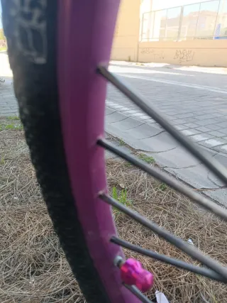 Bicicleta Dirt Jump/BMX Morada