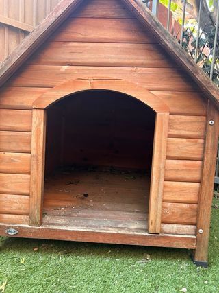 Caseta para perros de madera.