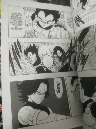 Tiger Road DB Dragon Ball Español 1-3 Young Jijii