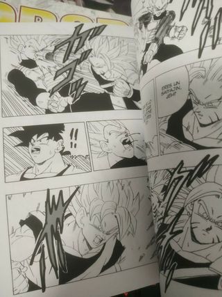 Tiger Road DB Dragon Ball Español 1-3 Young Jijii