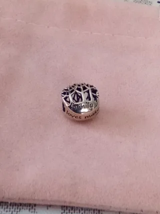 Charm de plata familiar