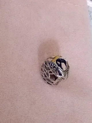 Charm de plata familiar