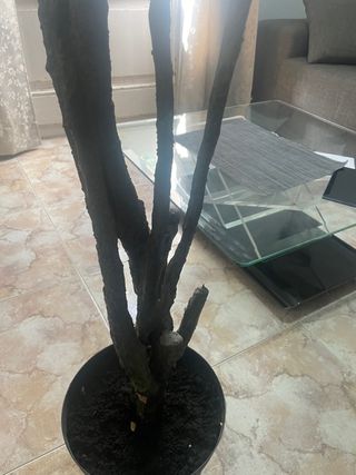 Planta artificial grande XXL,200cm