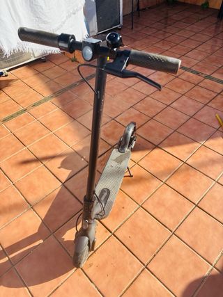 Patinete Eléctrico Xiaomi