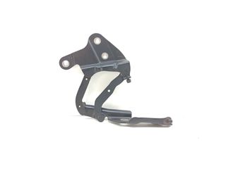 BISAGRA CAPO DERECHA BMW X1 (E84) 127999