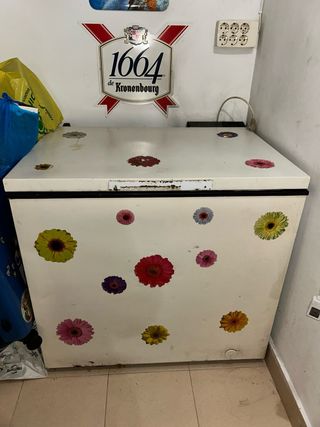 Arcón congelador blanco