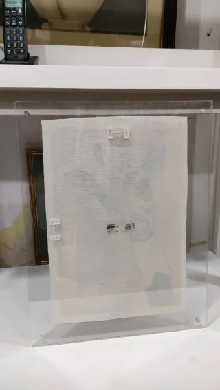 Cuadro Decorativo Jirafa Medellín 640513926