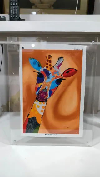 Cuadro Decorativo Jirafa Medellín 640513926