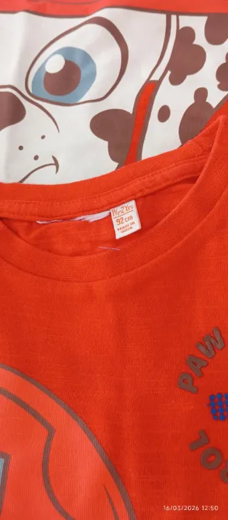 Lote 12 camisetas bebé 18-24-36 meses