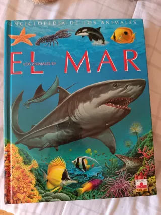 libros para edad escolar