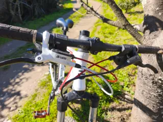 Bicicleta Focus Whistler Sport Series