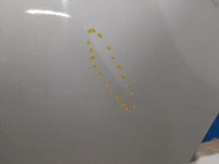 PUERTA TRASERA IZQUIERDA BMW SERIE 3 TOURING (E91