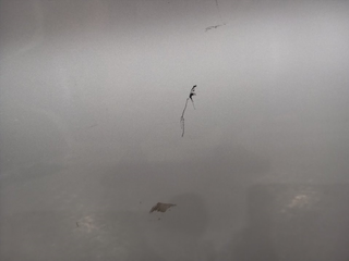 PUERTA TRASERA IZQUIERDA BMW SERIE 3 TOURING (E91