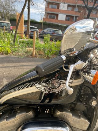 Harley Davidson Sportster 883 100 Aniversario
