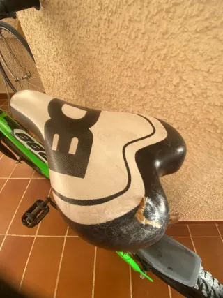 Bicicleta Infantil Verde para salir rodando