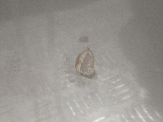 PORTON TRASERO PEUGEOT 307 (S1)(04.2001)