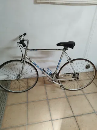 Bicicleta Clásica Carretera Plata