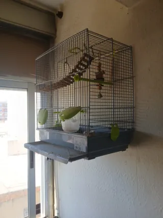 Jaula para periquitos