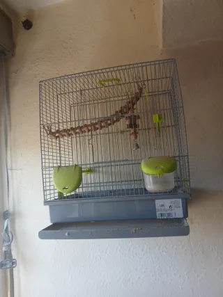 Jaula para periquitos