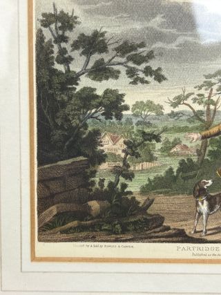 Coppia di antiche litografie di caccia