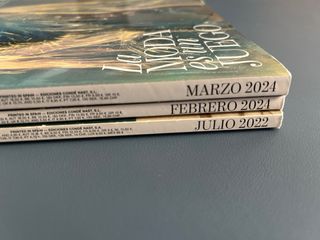 Lote revistas Vogue España