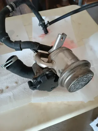 Enfriador EGR Seat Ibiza 1.4 TDI (2016)