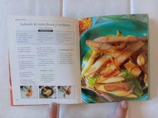 Recetas Sabrosas: Wok y Salteados