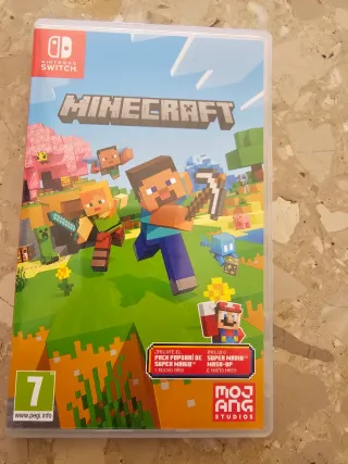 Minecraft Nintendo Switch