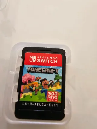 Minecraft Nintendo Switch