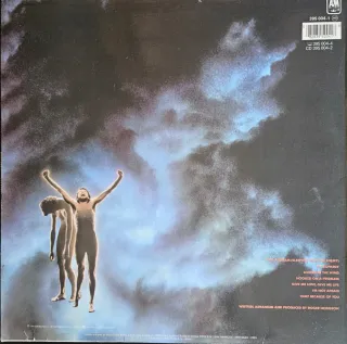 5 Vinilos Pop/Rock Internacional 80s/90s