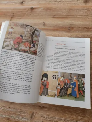 La Celestina (Biblioteca Didactica Anaya) (Span...